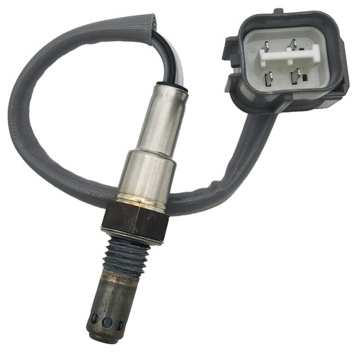 Sonda lambda per - , fuoribordo